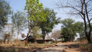Imagen de la galería de Munga Eco-Lodge, en Livingstone 59 fotos más