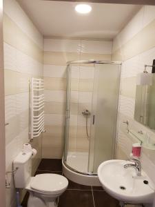 Vannituba majutusasutuses Hotel Pod Strzechą
