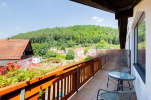 Gallery image of Hotel Restaurant Haus Waldesruh in Eppenbrunn