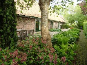 Zahrada ubytování Bed & Breakfast Uiterburen