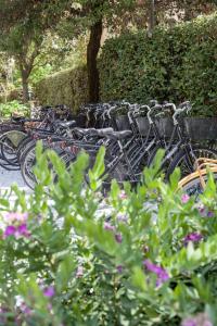una fila di biciclette parcheggiate l'una accanto all'altra di Hotel Franceschi a Forte dei Marmi