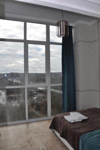 ブリャンスクにあるАпартаменты с видом на рекуのベッドルーム(大きな窓、ベッド付)