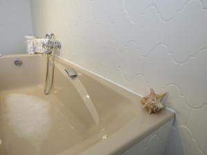 a bathroom with a bath tub with a starfish on the wall at Guesthouse La maison de Fille in Diest