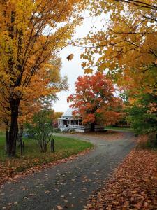 a road leading to a white house with fall foliage at Maison Du Vieux Chemin in Saint-Philémon