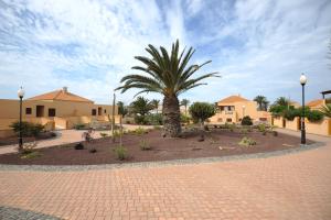 a palm tree in the middle of a courtyard at Granillo Beach Calm in Costa Calma