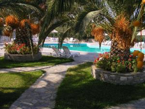 a resort with a palm tree and a swimming pool at Eri Hotel in Parikia