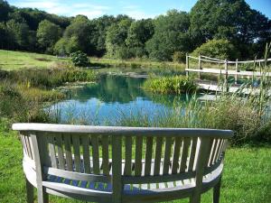 a park bench sitting in front of a pond at Fernside Bed and Breakfast in Templeton