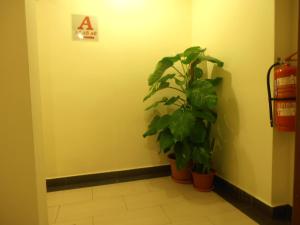 Fotografie z fotogalerie ubytování Hong Kong Hotel v destinaci Brinchang