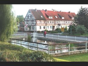 a group of swans in a pond in front of a building at Ferienwohnung Bellevue 2 in Staufenberg