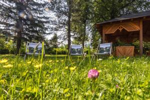 Zahrada ubytování Parkhotel Hirschwang