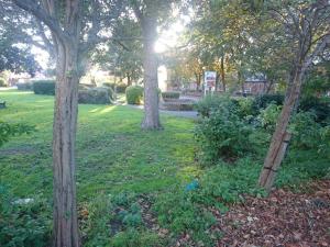 a group of trees in a park with grass at Sweet Suites Residence in Lytham St Annes +2 photos