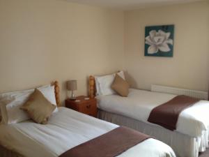 a hotel room with two beds and two lamps at Drovers Arms Hotel in Carmarthen