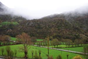 バルエラにあるDuplex Barruera Immovallの緑地と木々が茂る霧の山