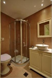 a bathroom with a shower and a toilet and a sink at Nerida Boutique Hotel in Dimitsana