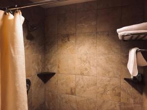 a bathroom with a tiled shower with white towels at Heathman Lodge in Vancouver