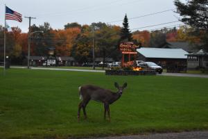 Country Club Motel