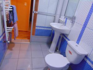 a bathroom with a toilet and a sink at Eucalyptus Uyuni in Uyuni