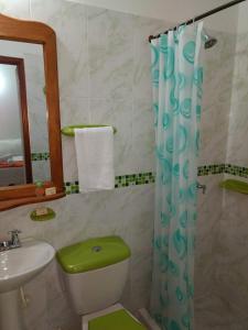 ein Badezimmer mit grünem WC und Waschbecken in der Unterkunft Apartahotel La Gran Familia in Villa de Leyva