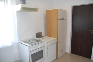 Kuchyň nebo kuchyňský kout v ubytování Vila Tadi