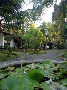 O grădină în afara Rini hotel