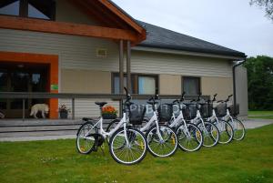 Jízda na kole v ubytování Piibutopsu Holiday House nebo okolí
