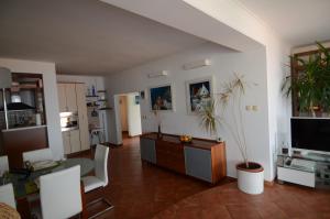 a living room with a tv and a table with a plant at Petra Hills in Opatija