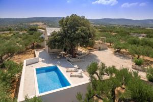 eine Villa mit einem Pool auf einem Feld in der Unterkunft Villa Dubrava Tranquil Retreat Nestled in an Olive Grove for Serene Escapes in Pučišća