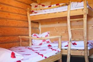Tempat tidur susun dalam kamar di Dom Pachnacy Zywica