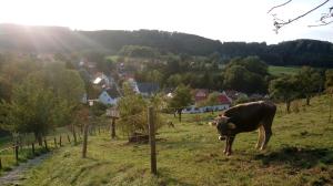 Příroda nedaleko apartmánu