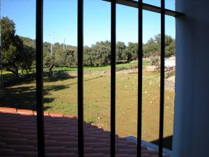 a view of a field from a window at Mirador de Jabuguillo in Aracena