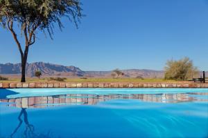 The swimming pool at or close to Desert Camp
