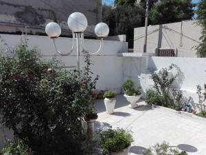 a garden with three white vases and plants at Studio en plein zone touristique avec wifi, IPTV et Clim in Sousse