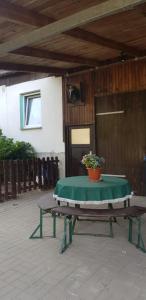 a picnic table with a potted plant on top of it at Ferienwohnung Röbel/Müritz in Röbel