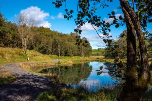 a pond in the middle of a field with trees at Drumhoney Holiday Park in Enniskillen