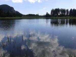 a large lake with trees and clouds in the water at RELAX aпартаменти, Смолянски езера, вила ВЕНЕРА, к-с Маунтин Лейк in Smolyan