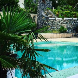uma palmeira em frente a uma piscina em Résidence Costa d'Oru em Saint-Florent