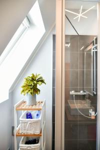 ein Badezimmer mit einer Dusche und einer Pflanze auf einem Regal in der Unterkunft Altstadt Apartment Deluxe in Cottbus