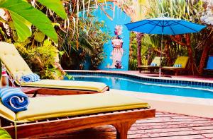 uma piscina com duas espreguiçadeiras e um guarda-sol em Pietermaai Boutique Hotel em Willemstad mais 34 fotografias