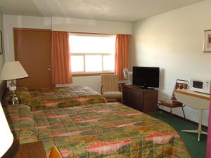 ein Hotelzimmer mit einem Bett und einem TV in der Unterkunft Aleeda Motel in Prince Rupert