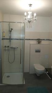baño con ducha, aseo y lámpara de araña. en Apartments Am Spitalthor, en Straubing