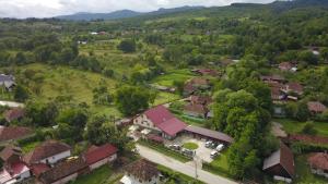 an aerial view of a village with houses and trees at Pensiunea Minodora in Polovragi