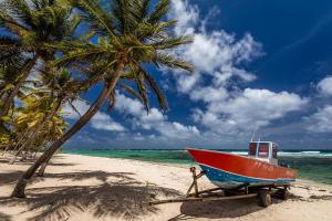 a red and blue boat on a beach with palm trees at Joli bungalow avec jacuzzi chez Roberto in Petit-Canal