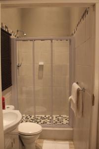 W łazience znajduje się prysznic, toaleta i umywalka. w obiekcie Tranquil House B&B 10 Berry St w mieście Queenstown