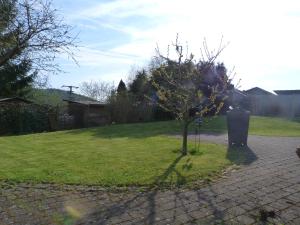 un albero in mezzo a un cortile di Ferien im Westerwald a Quirnbach