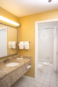 A bathroom at Ivy Court Inn and Suites