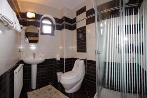 Gallery image of Hotel Victoria in Borşa