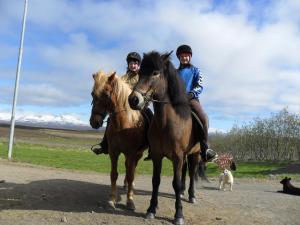 three people riding on horses on a dirt road at Ekra Cottages in Lagarfljótsvirkjun