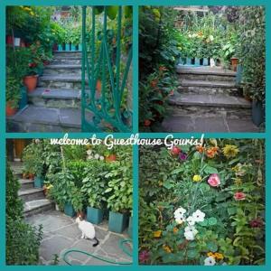 Zahrada ubytování Guesthouse Gouris