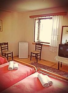 a living room with two beds and a television at Guesthouse Gouris in Tsepelovo