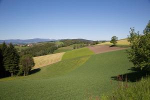 Afbeelding uit fotogalerij van Krumbacherhof in Krumbach Markt +64 foto's